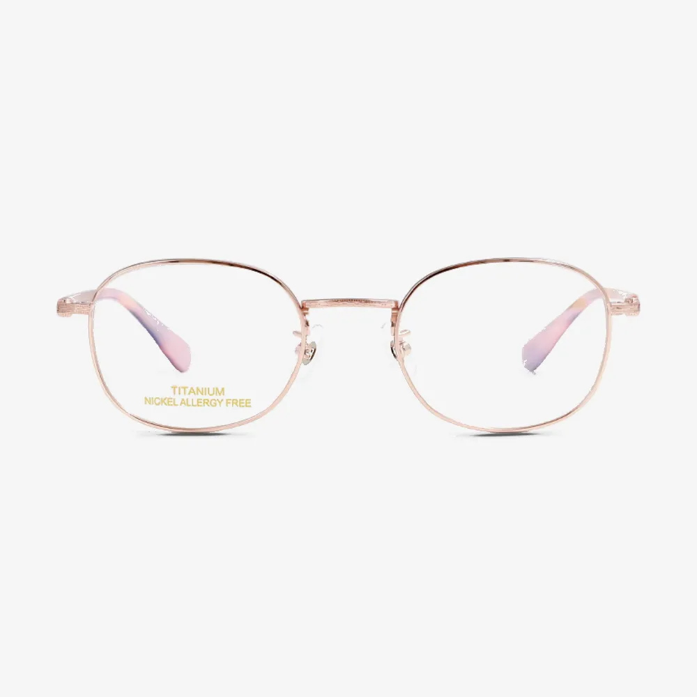 Remy Rectangle Titanium Glasses