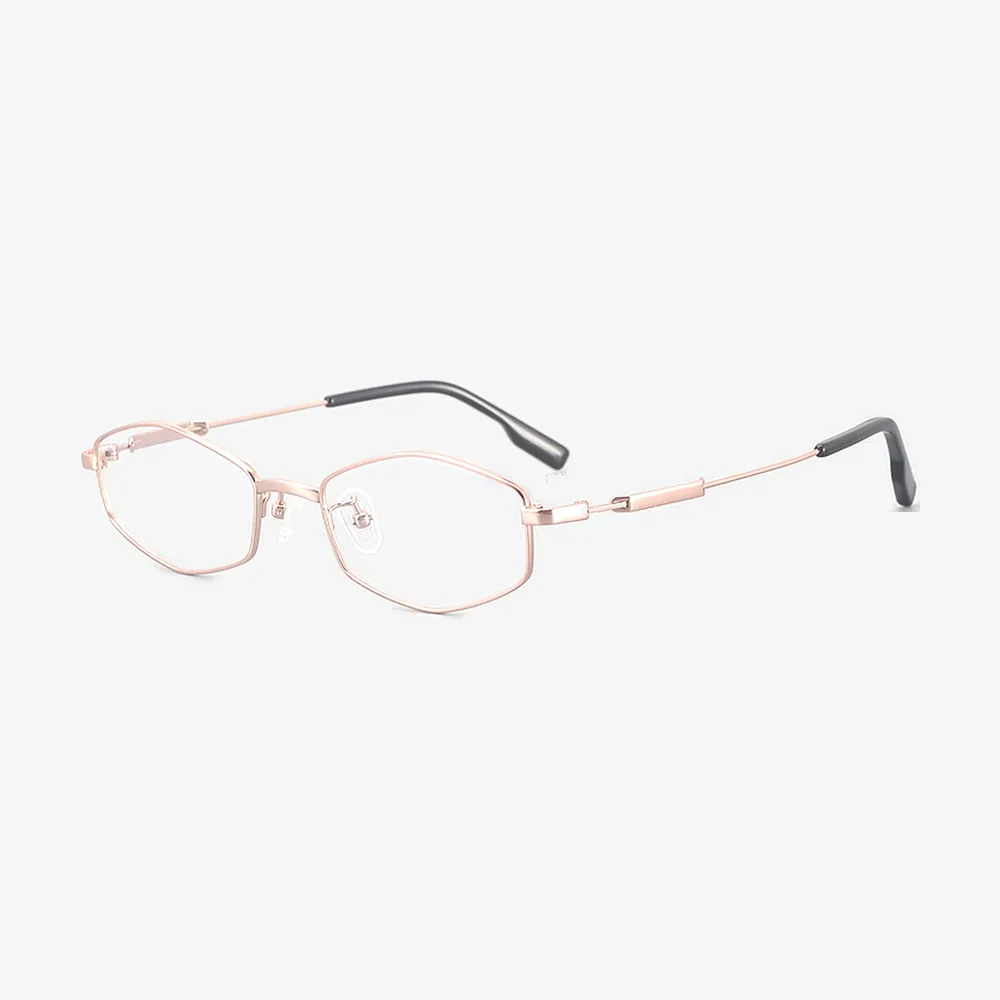 Devon Geometric Titanium Glasses