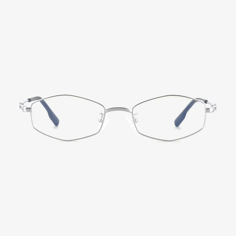 Devon Geometric Titanium Glasses