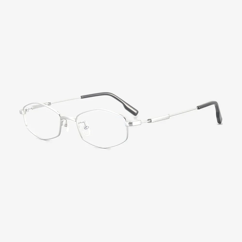 Devon Geometric Titanium Glasses