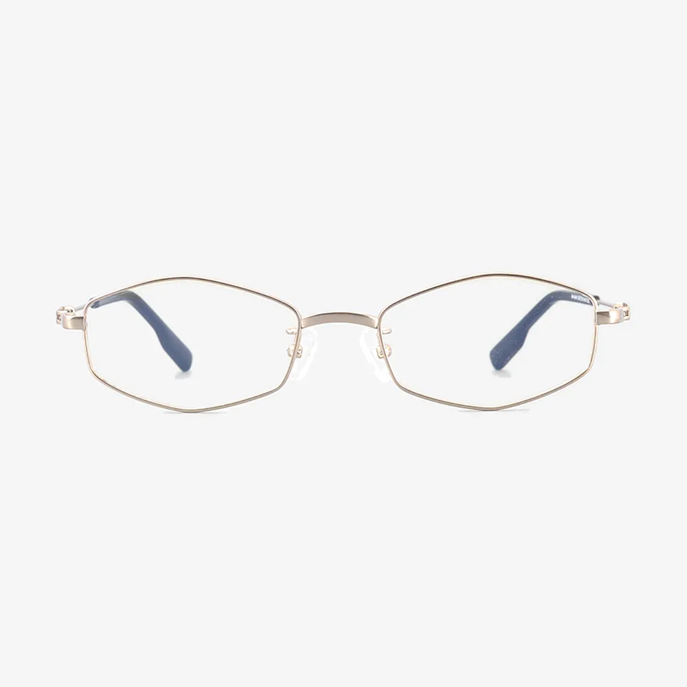 Devon Geometric Titanium Glasses