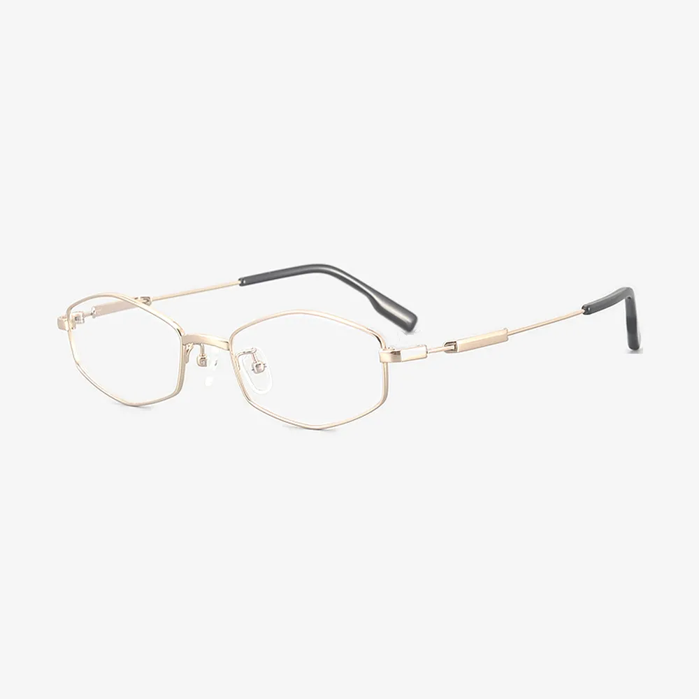 Devon Geometric Titanium Glasses