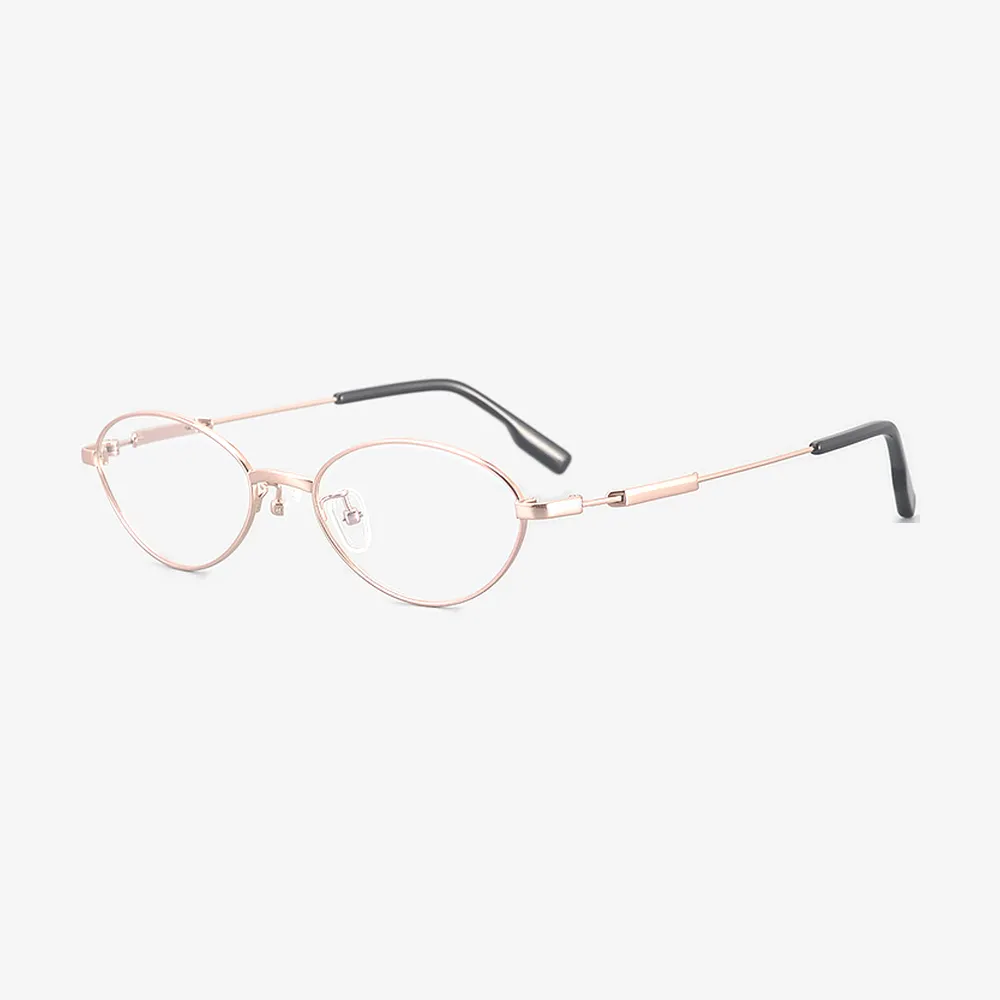 Hollis Cat-Eye Titanium Glasses